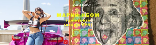 крисы Касимов