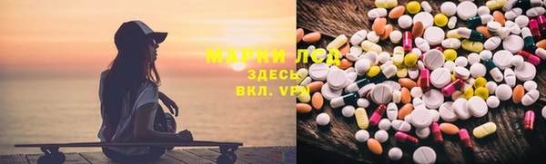 крисы Касимов