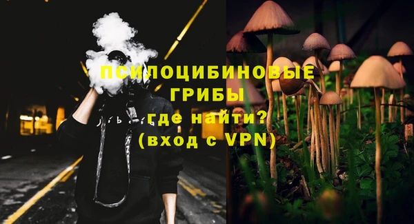 крисы Касимов