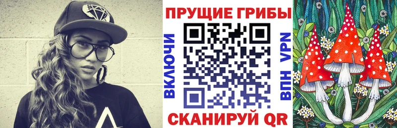 Галлюциногенные грибы мицелий  Купить где  Руза 